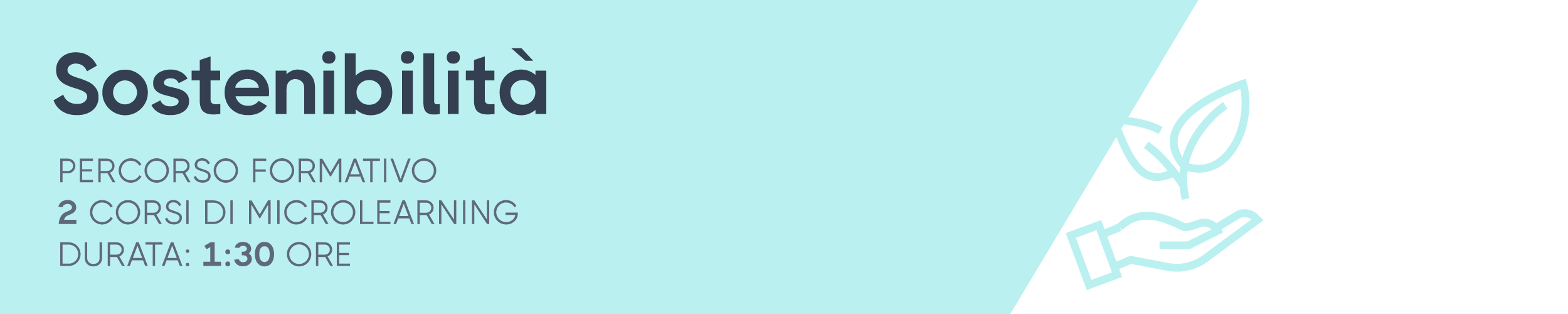 Edizione 2024/2025/2026